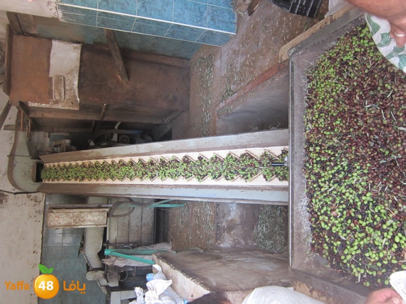 zatoon bayareq (2).JPG